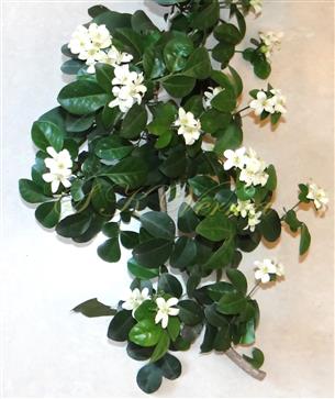 Flowering branch
